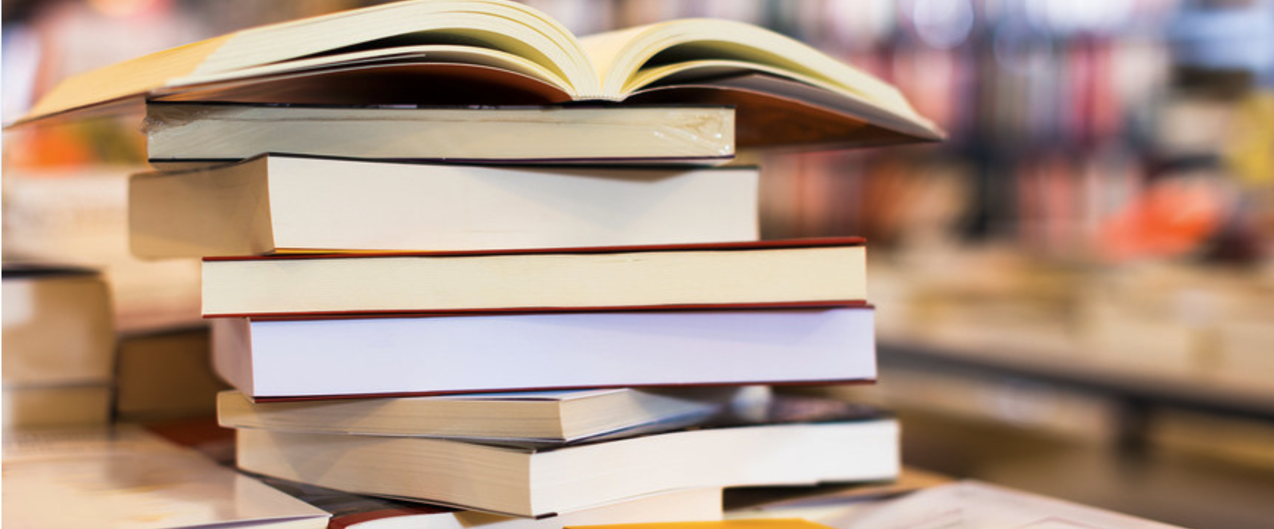 Беседы о литературе и финансах: «Маленькие деньги маленького человека»